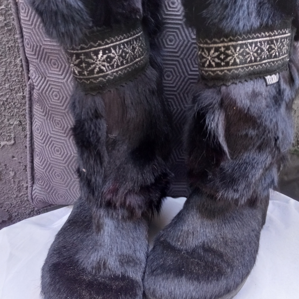 Tecnica apre ski boots